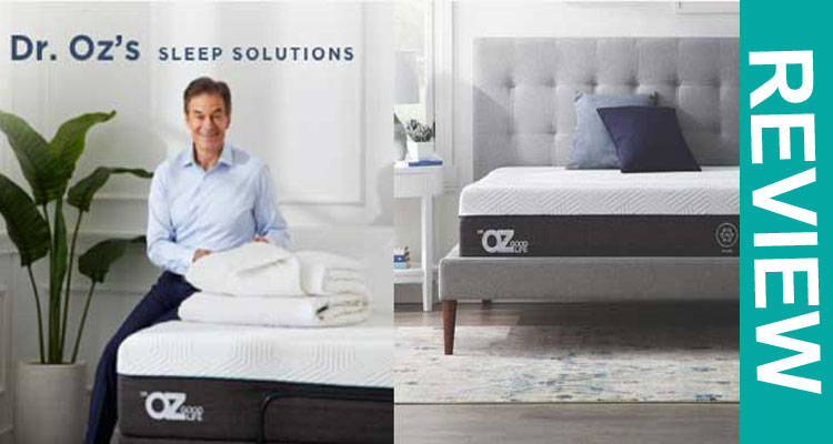 dr oz bed mattress